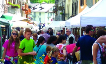 Sabato 24 e domenica 25 giugno a Cesana torna la Festa del Maggiociondolo