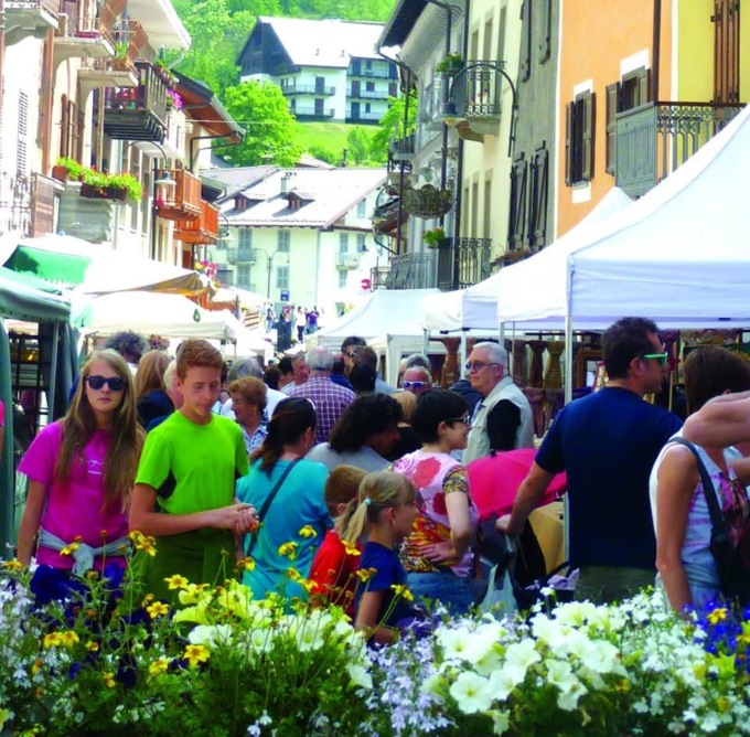 Sabato 24 e domenica 25 giugno a Cesana torna la Festa del Maggiociondolo