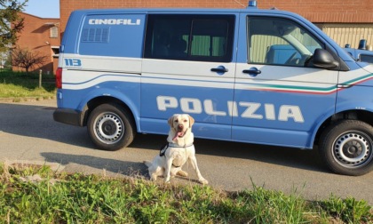 "Buon viaggio Aron" il ricordo commosso della polizia per il collega a quattro zampe