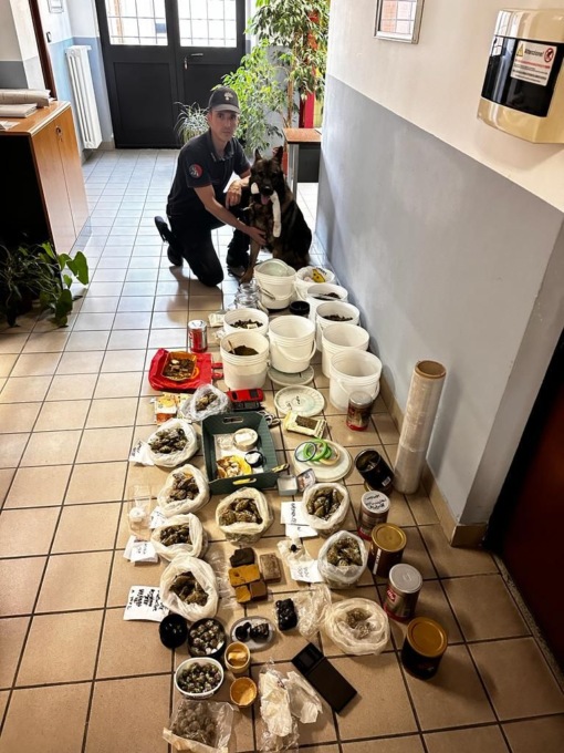 Operazione antidroga a Torino: sequestrati ingenti quantitativi di droga e arrestato un commerciante