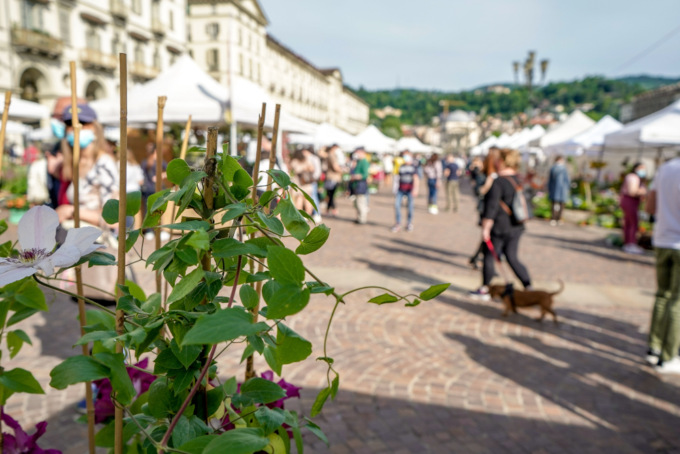 Domenica 25 giugno torna “Agriflor”, la piccola mostra mercato di fiori e prodotti agroalimentari
