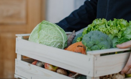 Nichelino, tenta di vendere della frutta per rubare dei soldi ad un ragazzo