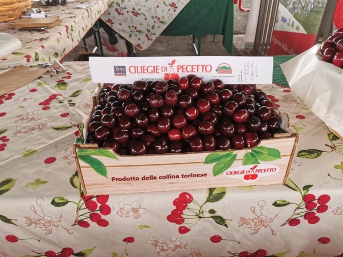 Domenica 4 giugno a Pecetto Torinese si celebra la 108ª edizione della Festa delle Ciliegie