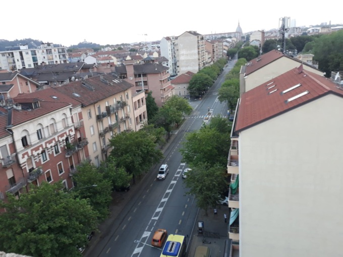 Corso Belgio, continua la protesta in difesa degli alberi