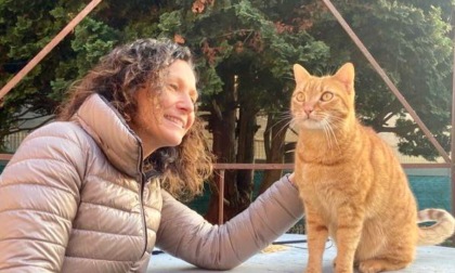 Piemonte"pet friendly": stanziati 100mila euro per il controllo e la gestione delle colonie feline