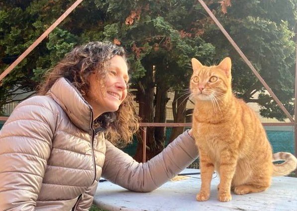 Piemonte”pet friendly”: stanziati 100mila euro per il controllo e la gestione delle colonie feline