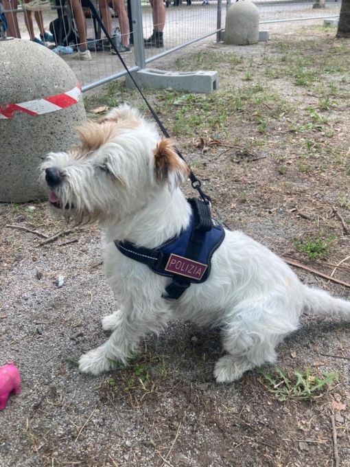 Anche il cane poliziotto Leone al lavoro per garantire la sicurezza al Kappa Futur Festival