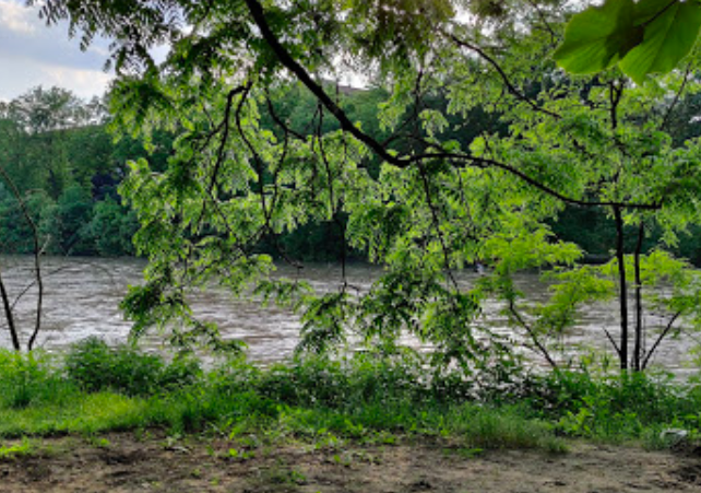 Va in bici al Parco Colletta e sparisce nel nulla: ricerche in corso