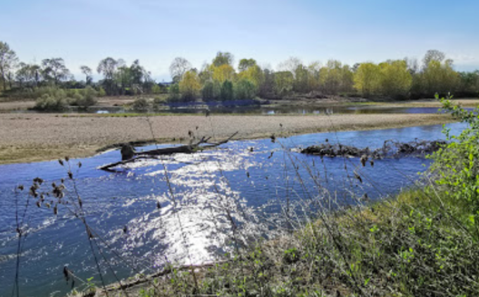 Si butta nel Po per aiutare cuginetto in difficoltà, 19enne muore dopo quattro giorni