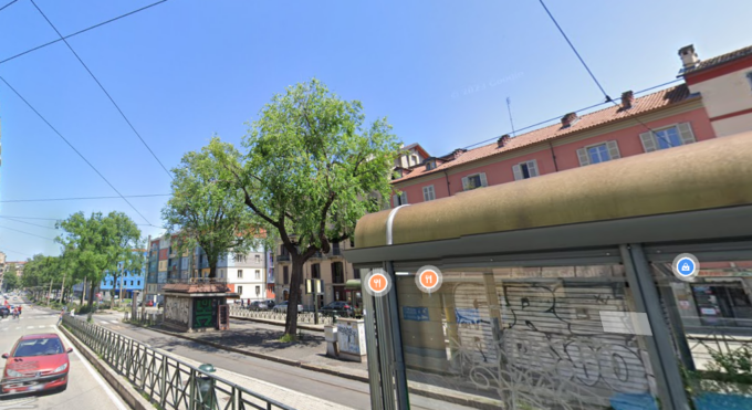 Oltre tremila alberi da abbattere in tutta la città