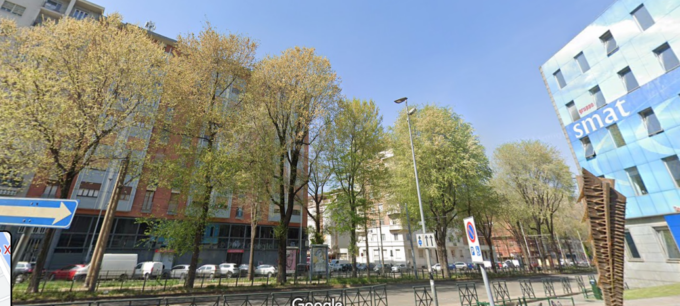 Dopo gli aceri di corso Belgio il Comune farà abbattere gli olmi di corso XI Febbraio