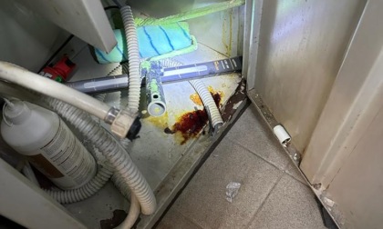 Personale irregolare e carenze igienico sanitarie: sanzionato un locale in via Melchiorre Gioia