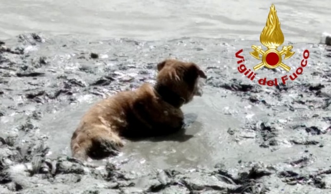 Shakti e Oliver rimangono bloccati nel fango, il padrone cerca di aiutarli ma rimane intrappolato pure lui