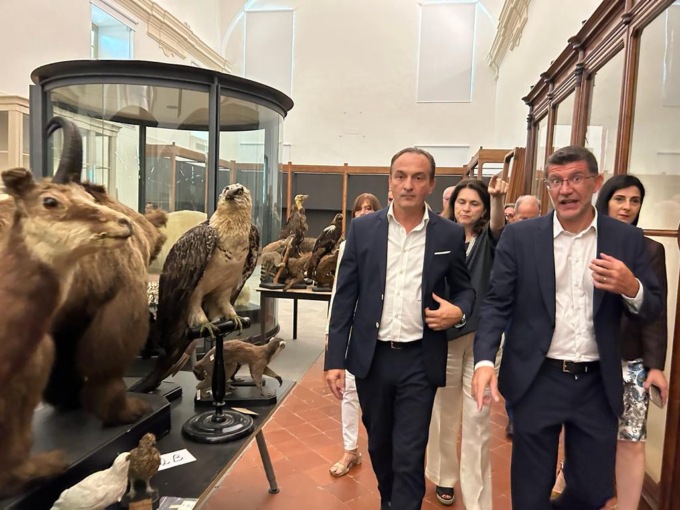 Verso la riapertura del Museo di Scienze naturali