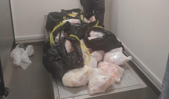 Dall’Egitto all’aeroporto di Torino con 64 chili di carne in cattivo stato di conservazione