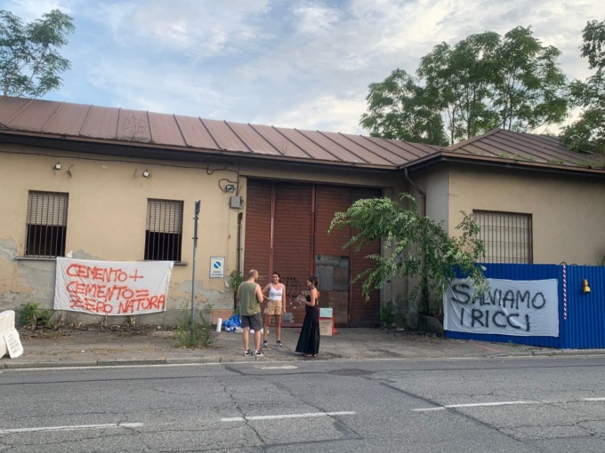 A Torino è nata una nuova ‘battaglia verde’ per tutelare ‘alberi e biodiversità’
