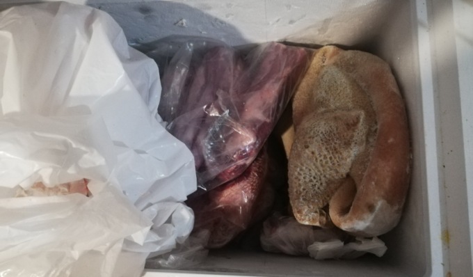 Scarse condizioni igieniche, sequestrati 600 chili di alimenti in macellaria