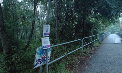 Parco del Boschetto di Nichelino, panchine rotte e cartelli pericolanti tra i sentieri ciclopedonali
