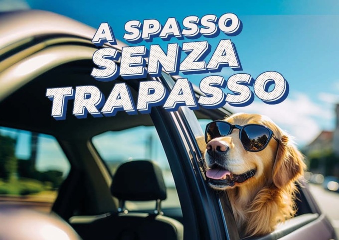 Da Autotorino passaggio di proprietà in omaggio su auto usate selezionate