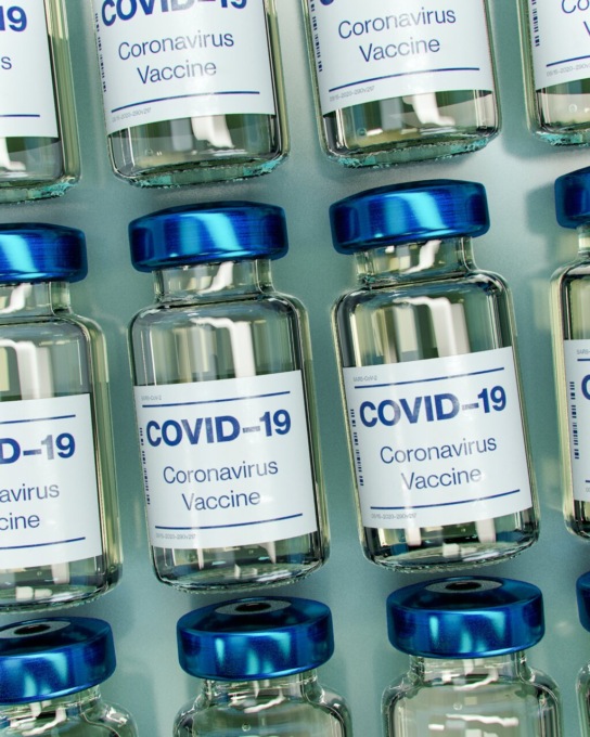Il Tribunale di Torino dà ragione alI’impiegata sospesa perché No Vax: l’azienda ora dovrà pagare tutti gli stipendi