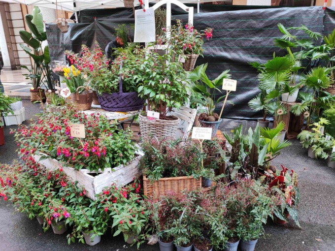 Floricola la mostra mercato dedicata alle piante torna a Torino dal 14 al 15 ottobre