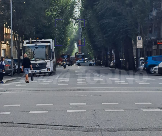 Camion abbatte un albero in corso Dante e scappa
