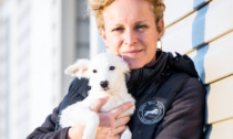 Presentazione del libro "I cani, la mia vita" di Sara Turetta, fondatrice di Save the Dogs