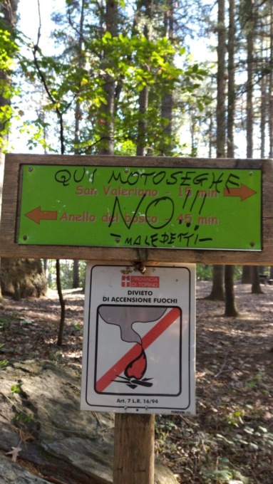 “Qui motoseghe. No!!! – Maledetti -” è frase scritta da ignoti contro il taglio degli alberi nel Monte San Giorgio a Piossasco