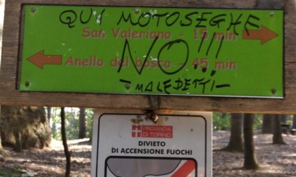 "Qui motoseghe. No!!! - Maledetti -" è frase scritta da ignoti contro il taglio degli alberi nel Monte San Giorgio a Piossasco