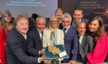 Raccolto quasi mezzo milione di euro alla 24° edizione dell'Asta Mondiale del tartufo bianco di Alba