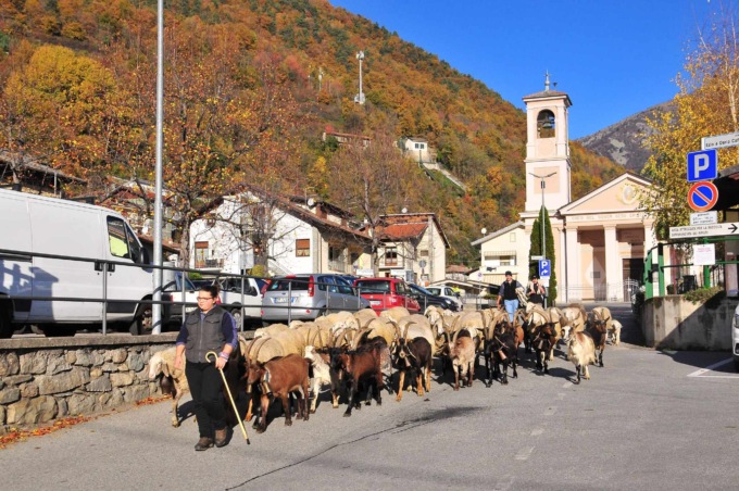 Sabato 18 novembre a Pomaretto torna la Fiero dâ Paî dâ Ramìe