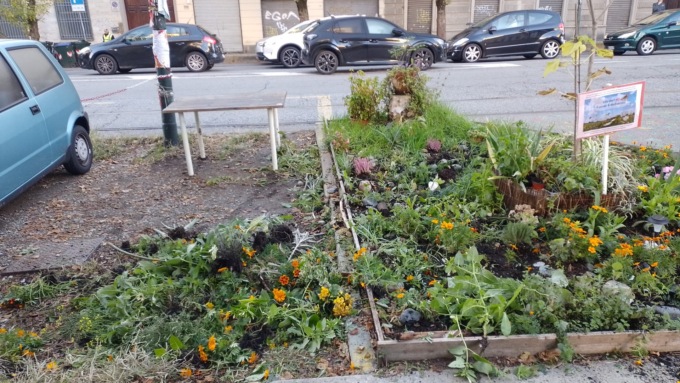 Danneggiata l’aiuola del comitato “Salviamo gli alberi di corso Belgio”