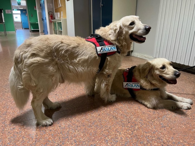 Il progetto “Ri-Animali”dell’AslTo3 per il reparto di rianimazione dell’Ospedale di Rivoli