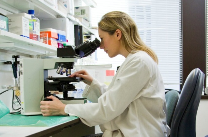 Tumore del pancreas: scoperto il ruolo di un tipo di cellule immunitarie tra le cause