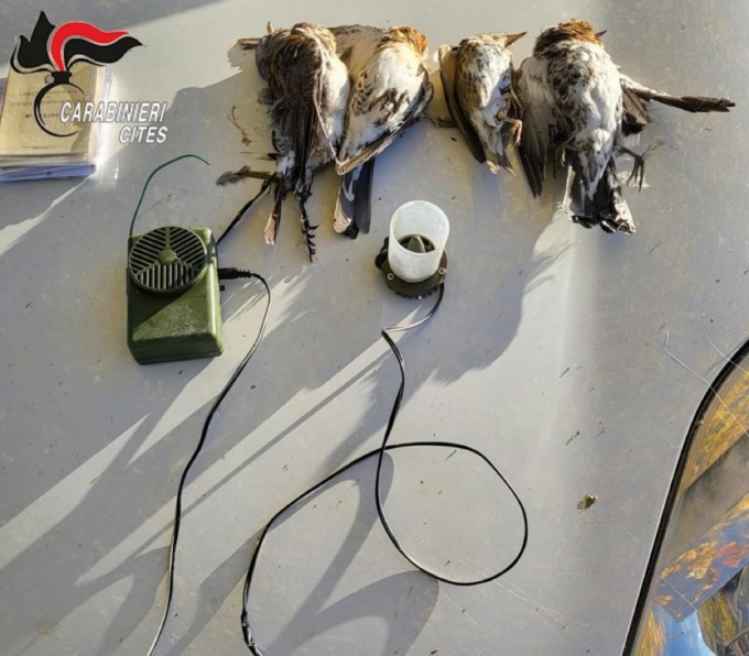 Tutela della fauna selvatica, 12 persone denunce dai carabinieri forestali