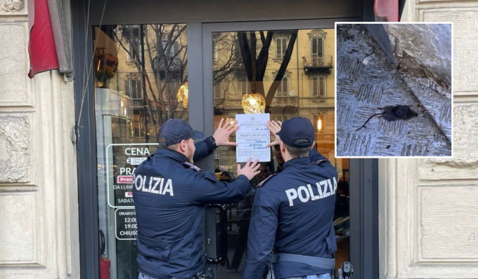 Un topo in decomposizione dietro al congelatore, chiuso ristorante giapponese
