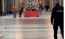 Gruppo di giovani prende a bastonate l'albero di Natale nella galleria San Federico