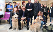 Il primo giorno di lavoro di Noah e Cecilia alla Rianimazione dell'Ospedale di Rivoli