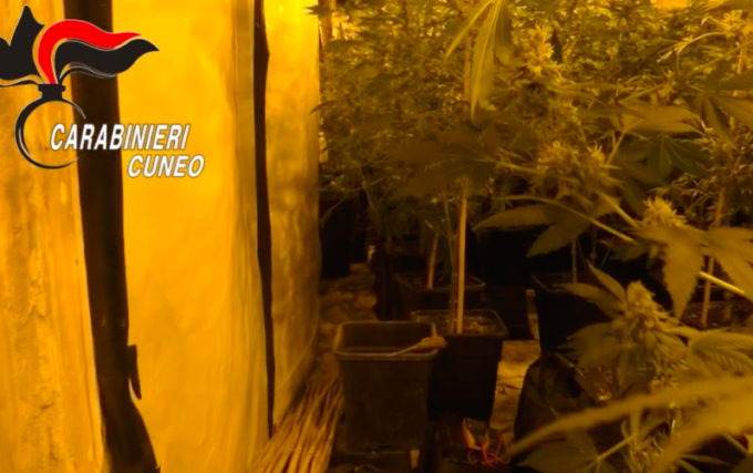 Detenzione e spaccio: 14 misure cautelari tra Piemonte ed Emilia Romagna