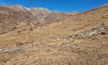 Montagne spoglie e secche, Coldiretti Torino: "Serve urgentemente un Piano per affrontare la crisi idrica"
