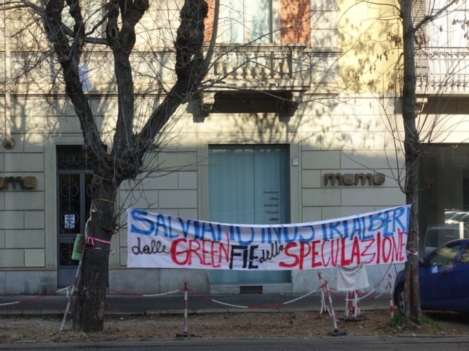 I residenti del quartiere Vanchiglia fermano l’abbattimento degli aceri negundi