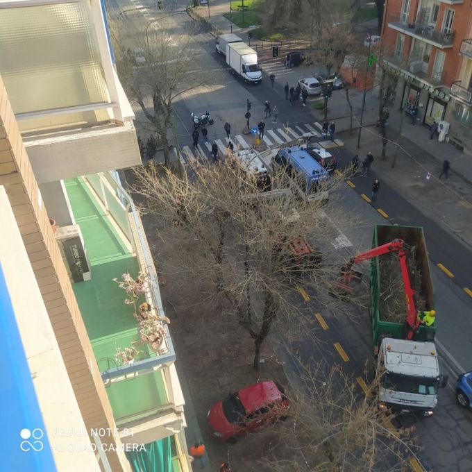 Corso Belgio, proseguono gli abbattimenti degli aceri, il Comitato: “Siamo trattati come terroristi”
