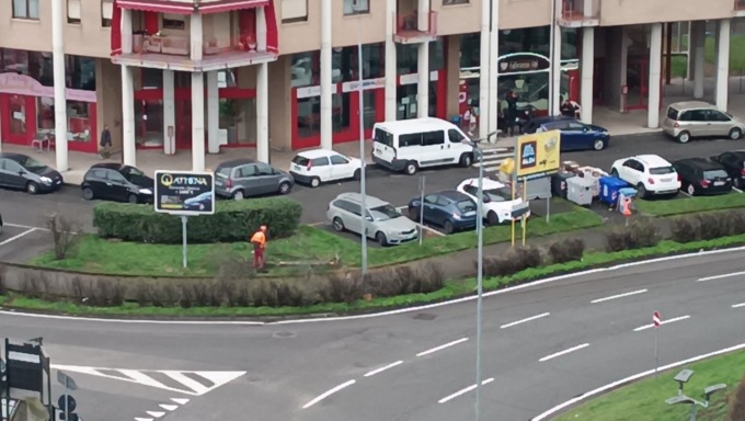 Alberi a Nichelino, proseguono gli abbattimenti