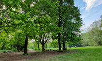 Quarantenne trovata impiccata al Parco delle Vallere di Moncalieri