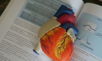 Cardiologie Aperte 2024: alle Molinette di Torino "Il segreto è nel cuore"
