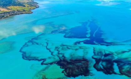 Il nuovo studio di UniTo: la fisica può accelerare la biodegradazione del petrolio in mare