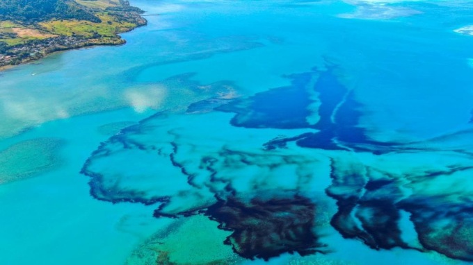 Il nuovo studio di UniTo: la fisica può accelerare la biodegradazione del petrolio in mare