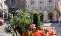 A Moncalieri la prima edizione di Flori', sabato 13 e domenica 14 aprile 2024
