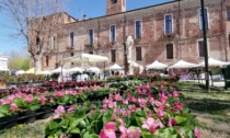 Sabato 6 e domenica 7 aprile si svolgerà a Carmagnola "Ortoflora & Natura"
