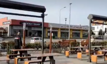 Due mucche e un vitellino invadono un McDonald's a Quaregna Cerreto